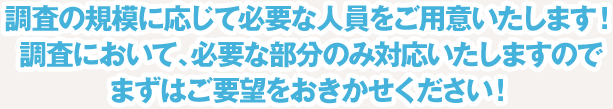 調査の規模に応じて必要な人員をご用意いたします！調査において、必要な部分のみ対応いたしますのでまずはご要望をおきかせください！